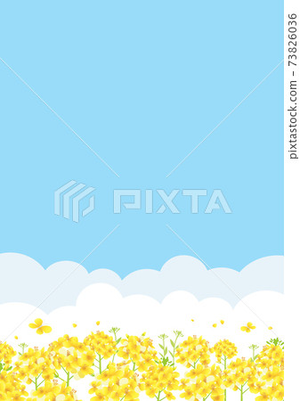 Blue sky and rape field background illustration (vertical A3 / A4 ratio) Blue sky and rape field background illustration (vertical A3 / A4 ratio) 73826036
