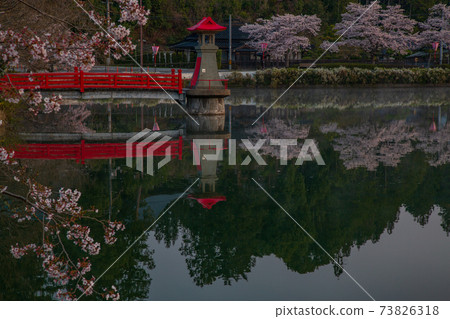 Ueno Park, a famous place for cherry blossoms in Shobara City, Hiroshima Prefecture 73826318