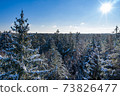 Winter forest on a clear, frosty day. Beautiful Christmas trees stand all in the snow against the blue sky. Aerial view, shot on a drone. 73826477