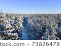 Winter forest on a clear, frosty day. Beautiful trees are covered with snow. A forest road is visible. Aerial view, shot on a drone. 73826478
