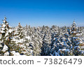 Winter forest on a clear, frosty day. Beautiful Christmas trees stand all in the snow against the blue sky. Aerial view, shot on a drone. 73826479