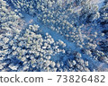Winter forest on a clear, frosty day. Beautiful trees are covered with snow. A forest road is visible. Aerial view, shot on a drone. 73826482