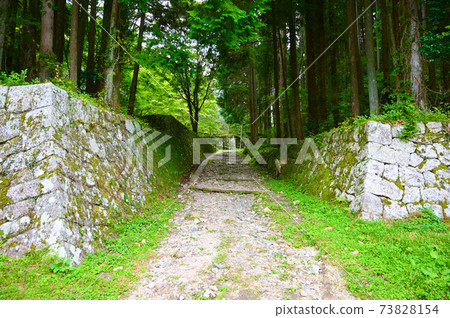 岩村城遺址一野門惠那市 73828154