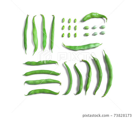 Green bean pods isolated on a white background Green bean pods isolated on a white background 73828173
