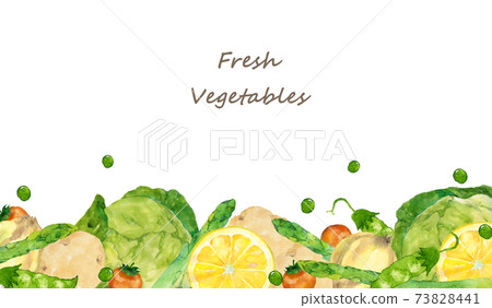 蔬菜框架水彩插圖 蔬菜框架水彩插圖 73828441