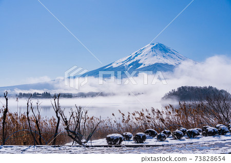 (山梨縣)從河口湖大石公園被霧包圍的富士山 (山梨縣)從河口湖大石公園被霧包圍的富士山 73828654