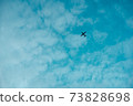 一架飛機在空中漂浮的輪廓 73828698