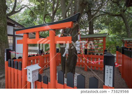 Aioi company Aioi company 73829566