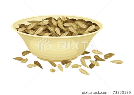 Dried Fennel Fruit as Aromatic Anise-flavored Spice in Bowl Vector Illustration Dried Fennel Fruit as Aromatic Anise-flavored Spice in Bowl Vector Illustration 73830189
