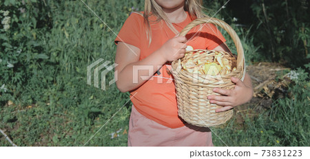 crop view of a girl holding a basket with forest mushrooms. 73831223