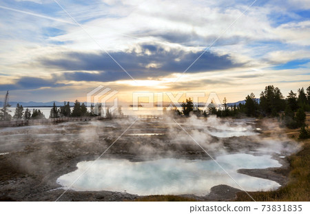 Yellowstone 73831835