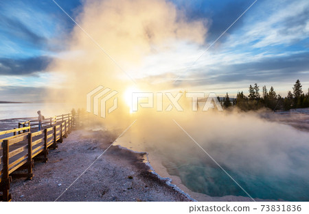 Yellowstone 73831836