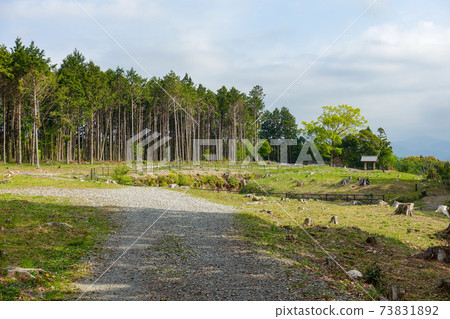 wa訪原城遺址，保留在牧之原高原的茶園裡（戰國時期的一座城堡遺址，武田的山城） 73831892