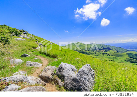 Hiraodai in summer, Kitakyushu City, Fukuoka Prefecture 73831954