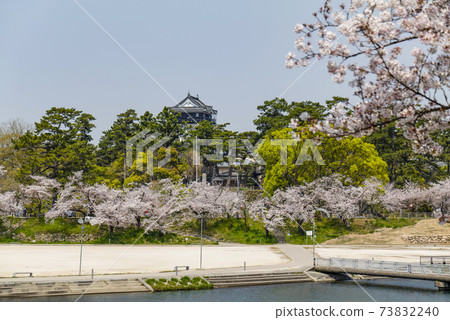 Okazaki Park Sakura Festival, Aichi Prefecture (2020) 73832240