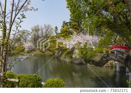 Okazaki Park Sakura Festival (Aichi Prefecture) Okazaki Park Sakura Festival (Aichi Prefecture) 73832371