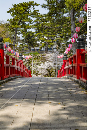 Okazaki Park Sakura Festival (Aichi Prefecture) Okazaki Park Sakura Festival (Aichi Prefecture) 73832374