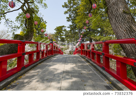 Okazaki Park Sakura Festival (Aichi Prefecture) Okazaki Park Sakura Festival (Aichi Prefecture) 73832376
