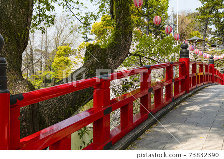Okazaki Park Sakura Festival (Aichi Prefecture) Okazaki Park Sakura Festival (Aichi Prefecture) 73832390