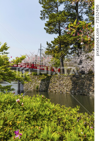 岡崎公園櫻花祭（愛知縣） 73832406