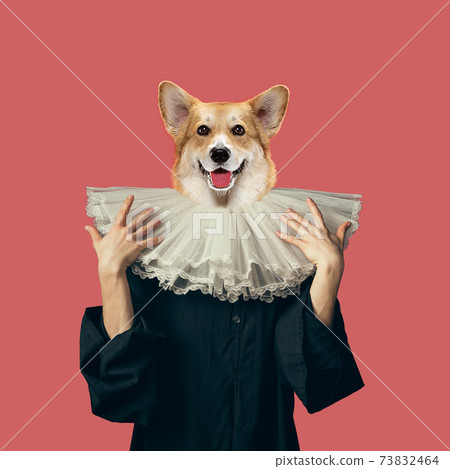 Model like medieval royalty person in vintage clothing headed by dog head. Concept of comparison of eras, artwork, renaissance, baroque style. Creative collage. Model like medieval royalty person in vintage clothing headed by dog head. Concept of comparison of eras, artwork, renaissance, baroque style. Creative collage. 73832464