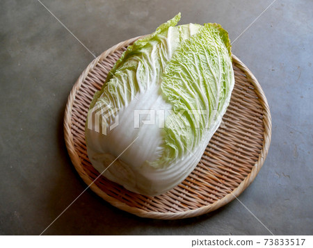 Chinese cabbage on the colander Chinese cabbage on the colander 73833517