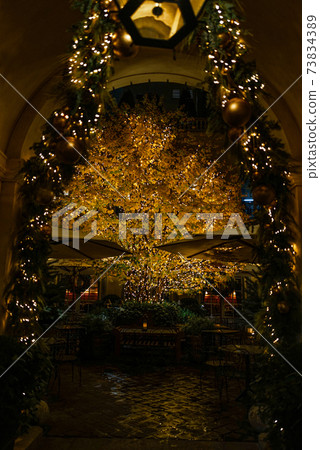 Christmas in Paris Christmas in Paris 73834389