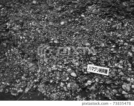 Japan's largest Kasori shell mound Japan's largest Kasori shell mound 73835478