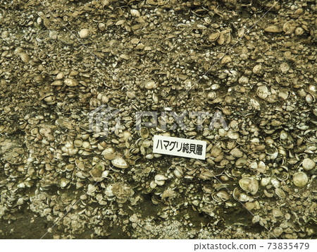 Japan's largest Kasori shell mound Japan's largest Kasori shell mound 73835479
