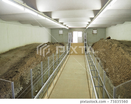 Japan's largest Kasori shell mound 73835560