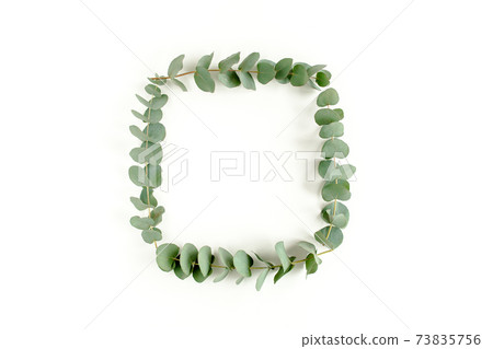 Wreath frame made of branches eucalyptus and leaves isolated on white background. lay flat, top view 73835756