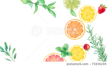 新鮮水果和香草的水彩插圖。柑橘，草莓和香草的旗幟。 73836204