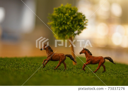 馬圖和稀樹草原的形象 馬圖和稀樹草原的形象 73837276
