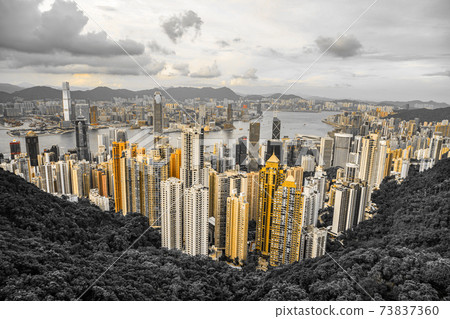 Skyscrapers in Hong Kong seen from Victoria Peak 73837360