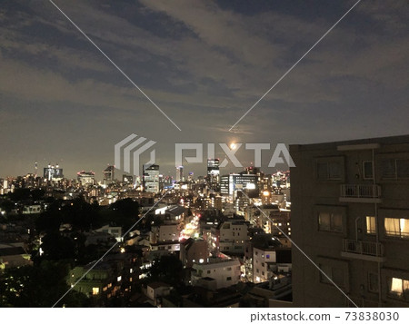 東京的夜景 73838030