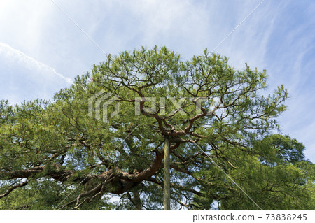 Kanazawa trip in early summer, Kenrokuen Kanazawa trip in early summer, Kenrokuen 73838245