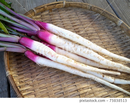 Turnip of the sun Turnip of the sun 73838513