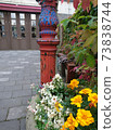 Fire hydrant and marigold 73838744