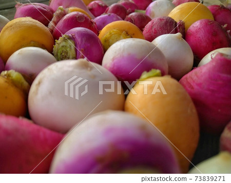 Various turnips Various turnips 73839271