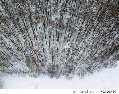 Aerial view on winter landscape with trees in deciduous forest covered with hoarfrost Aerial view on winter landscape with trees in deciduous forest covered with hoarfrost 73839849