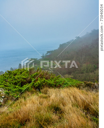 An ocean view from a steep hill a misty day. Yellow grass in the foreground. Picture from Kullen nature reserve, Scania, Sweden An ocean view from a steep hill a misty day. Yellow grass in the foreground. Picture from Kullen nature reserve, Scania, Sweden 73840034