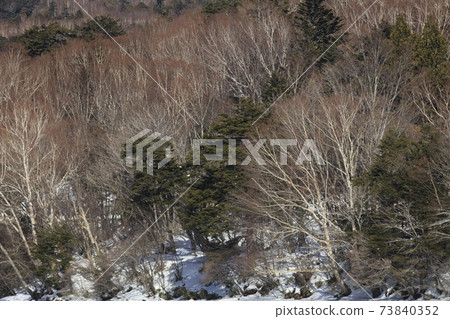 Yunoko winter scenery Yunoko winter scenery 73840352