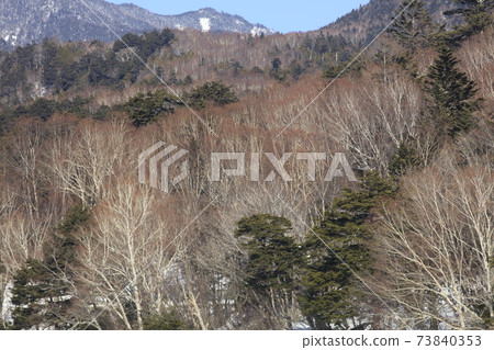 Yunoko winter scenery Yunoko winter scenery 73840353
