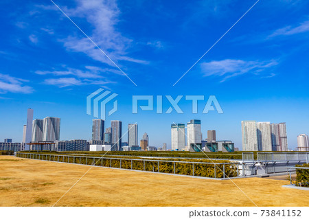 從豐洲市場屋頂綠化廣場景觀 從豐洲市場屋頂綠化廣場景觀 73841152