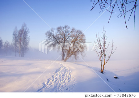 winter morning landscape with fog winter morning landscape with fog 73842676