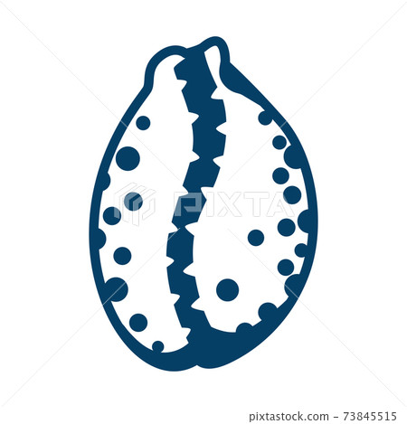 Illustration of seashell. 73845515
