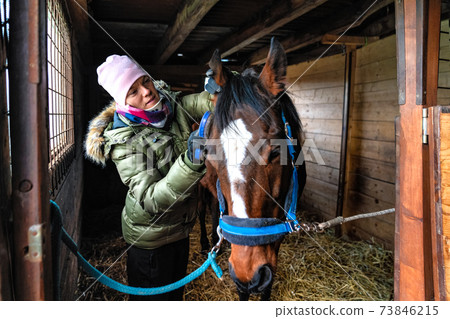 Caring for horses in the stables. combing hair with the help of brushing Caring for horses in the stables. combing hair with the help of brushing 73846215