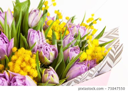 Bouquet of lilac tulips and yellow mimosas in pink box on white background, closeup, side view. March 8, February 14, birthday, Valentine's, Mother's, Women's day celebration, spring concept Bouquet of lilac tulips and yellow mimosas in pink box on white background, closeup, side view. March 8, February 14, birthday, Valentine's, Mother's, Women's day celebration, spring concept 73847550