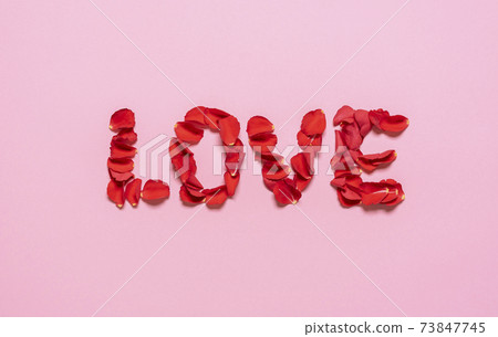 Love word from rose petals on pink background. Valentine day concept 73847745