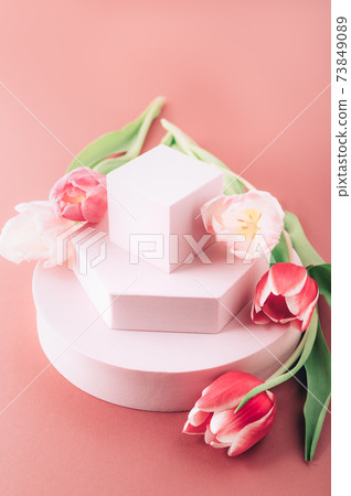 Solid Display Block 73849089